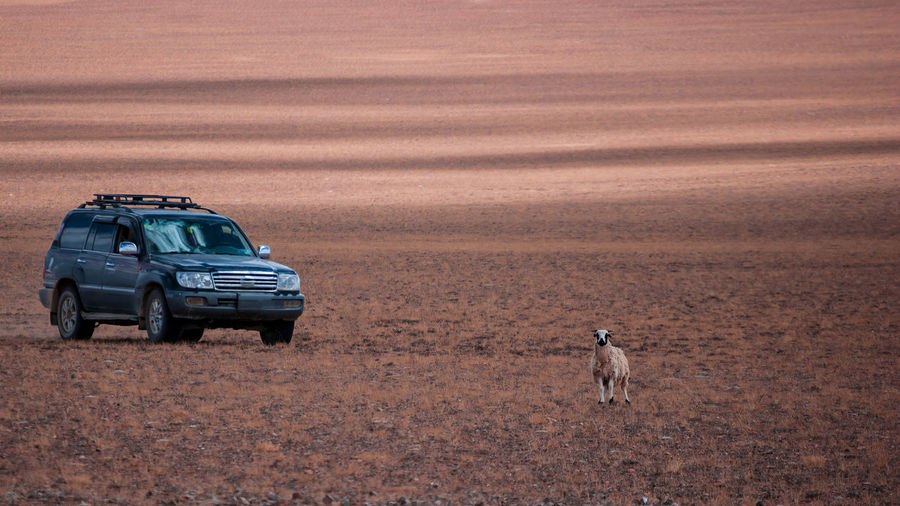 View of car on land