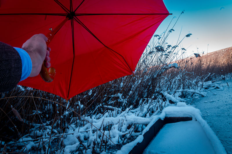Person covered with umbrella during winter