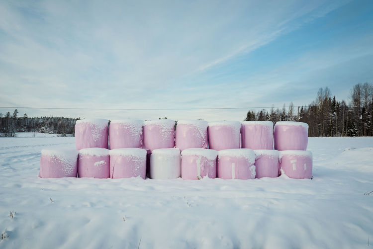 SNOW IN ROW AGAINST SKY