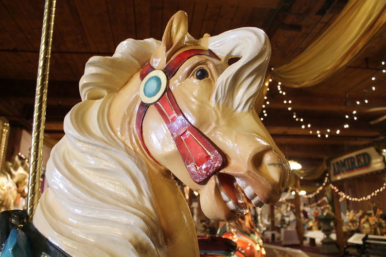 Close-up of carousel horse at traveling carnival during night