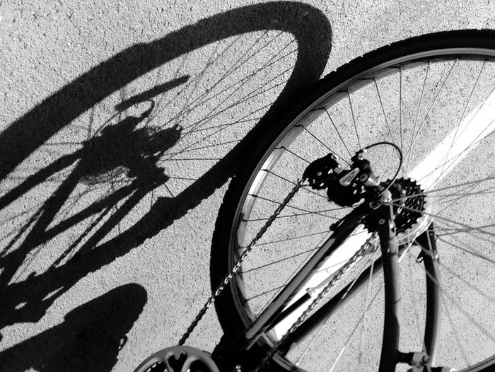 Shadow of bicycle on street