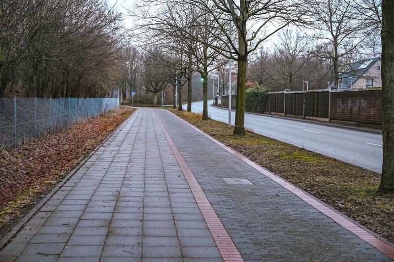 Empty footpath amidst bare trees in city