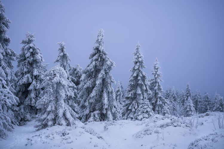 snow