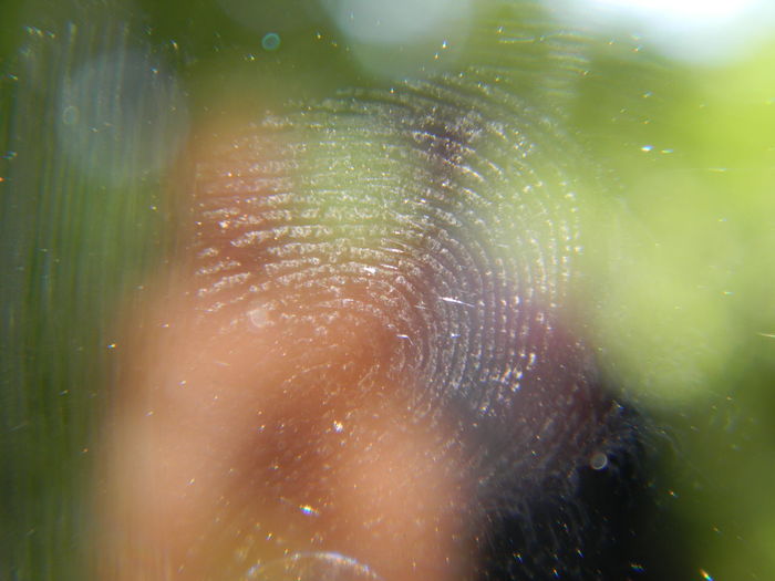 Close-up of fingerprint on glass