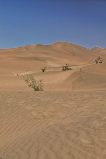 0230 moving sand dunes cover the surface of the taklamakan desert. yutian keriya cty.-xinjiang-china