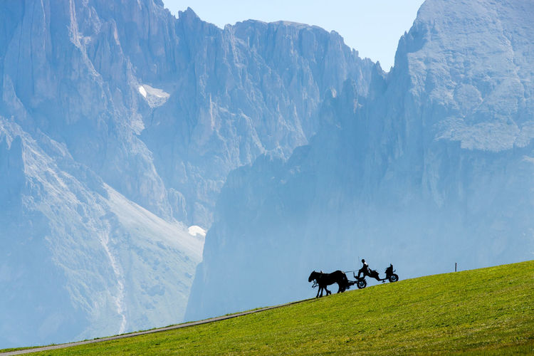 Man with horses on mountain against sky