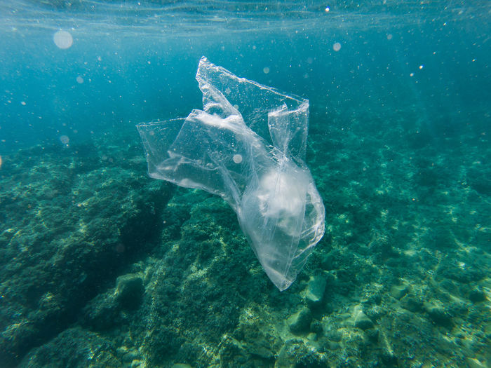 Close-up of plastic in sea