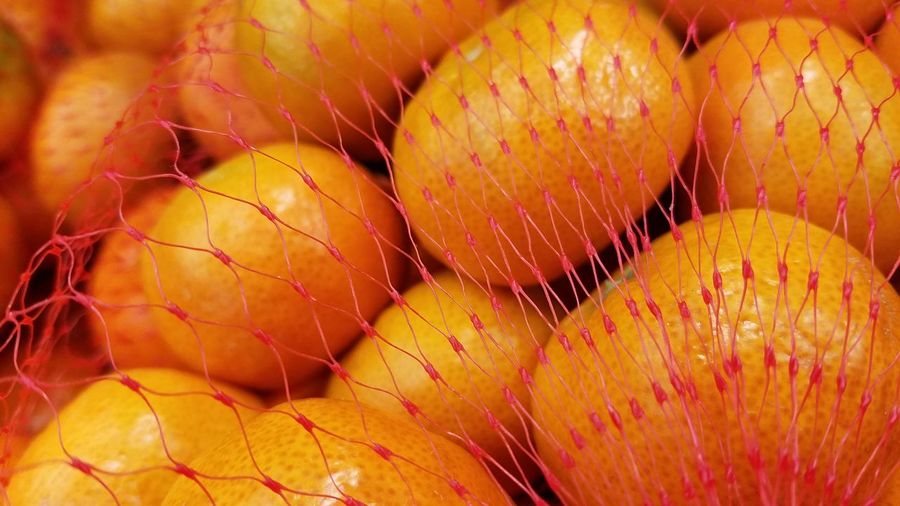 Close-up of yellow oranges in mesh bag