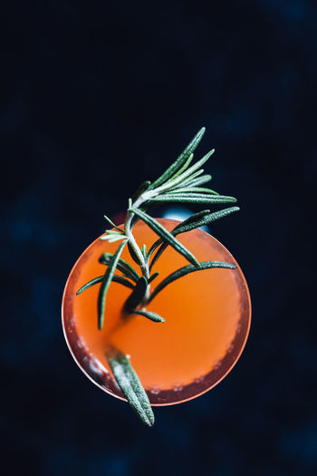Top down shot of orange carrot cocktail drink with green rosemary garnish on black background