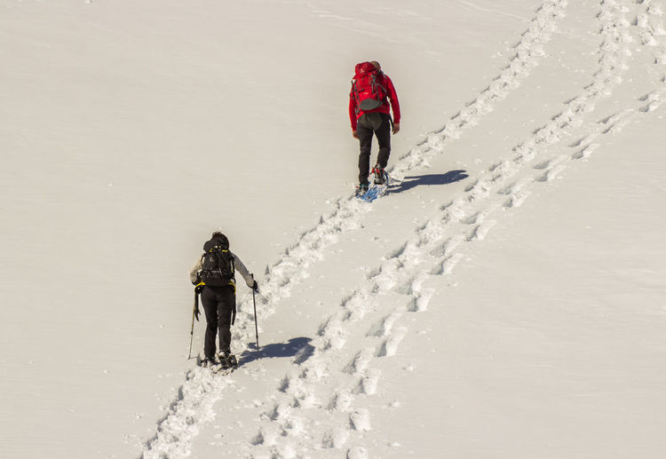 Rear view of hikers on snow