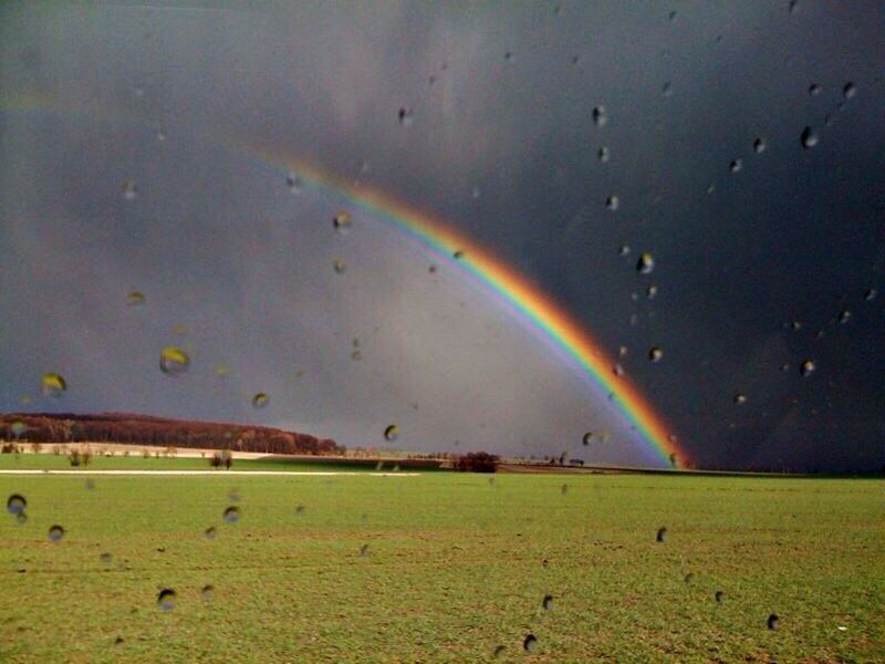 landscape, grass, field, rainbow, flying, sky, scenics, beauty in nature, nature, tranquility, tranquil scene, green color, multi colored, mid-air, grassy, weather, outdoors, idyllic, cloud - sky, tree