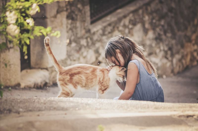 Cute girl kissing cat sitting outdoors