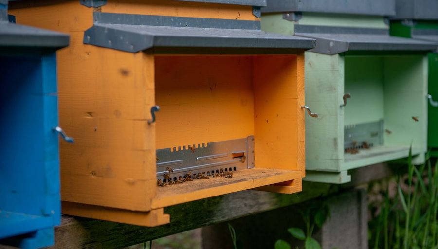 Close-up of yellow mailbox