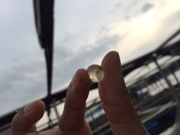 Cropped image of hand holding caviar against sky