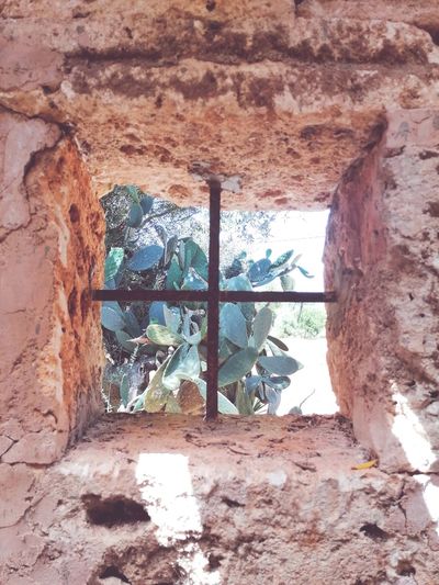 Close-up of broken window of old building