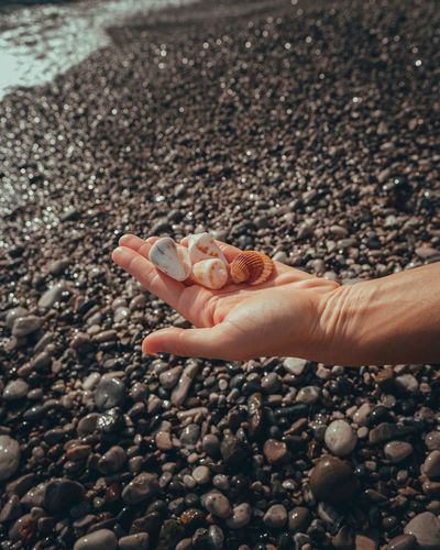Close-up of person hand on pebbles at beach
