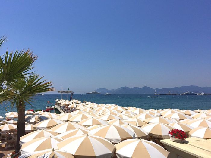 Umbrellas at restaurant on pier