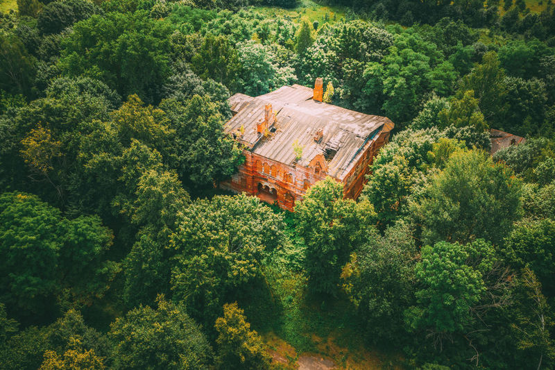 High angle view of cottage amidst trees and plants