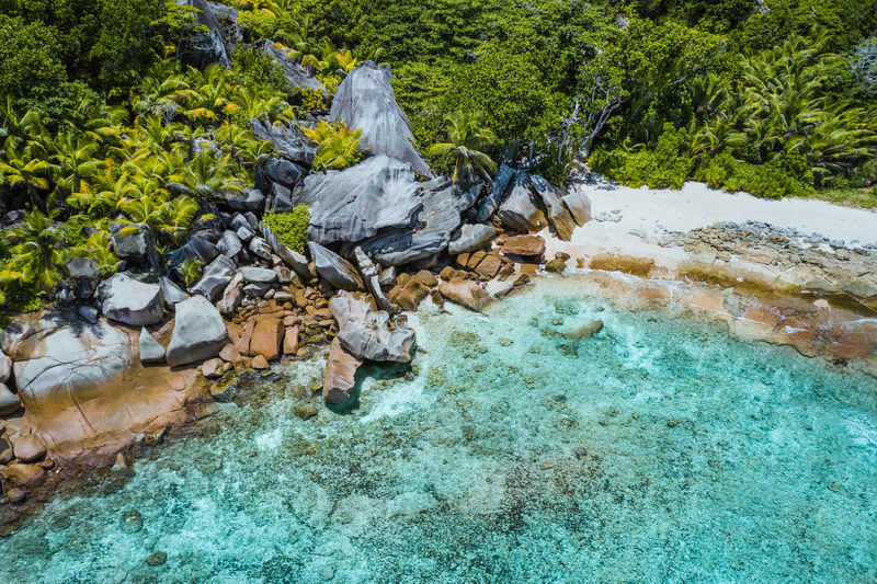 High angle view of rocks by sea in forest