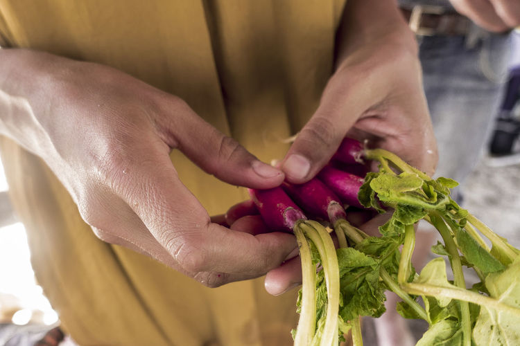 Midsection of person holding radishes at home