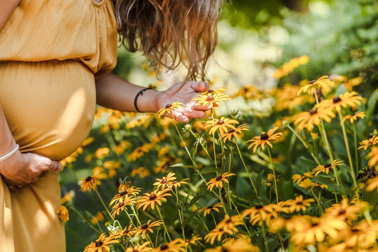 Midsection of pregnant woman touching flowers in park