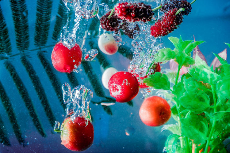 Close-up of cherries in water