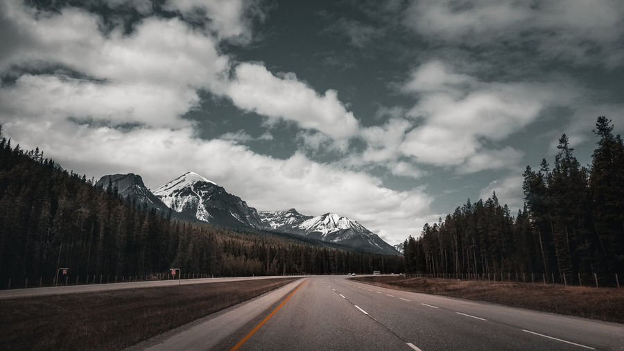 Road by trees against sky during winter