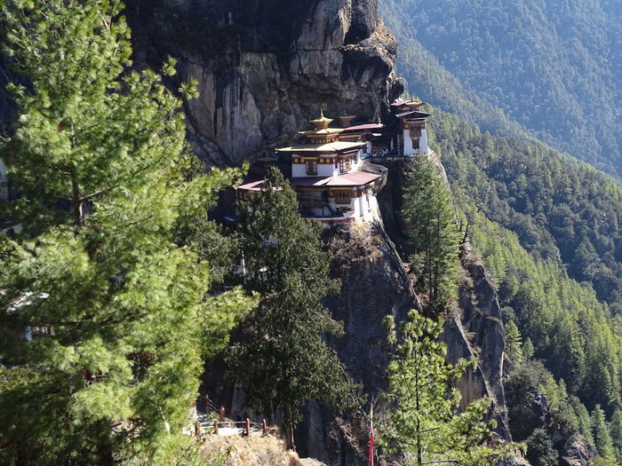 Panoramic view of temple amidst trees and mountains