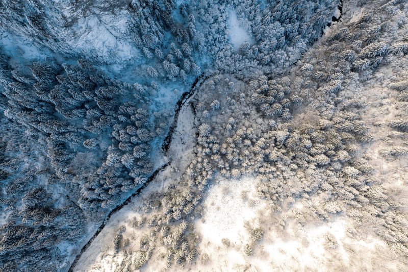 Birds eye view of river flowing through snow covered forest