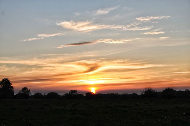 Scenic view of silhouette field against sky during sunset