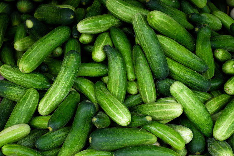 Green cucumbers on shelf in supermarket. vegan food and healthy nutrition concept