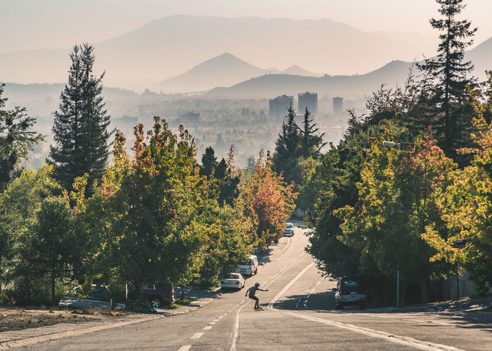 Man skateboarding on road amidst trees against sky