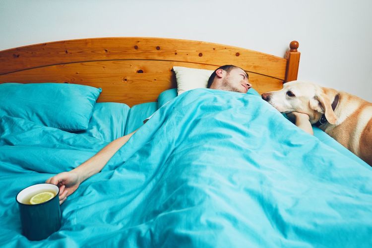 High angle view of mid adult man petting dog while lying on bed at home