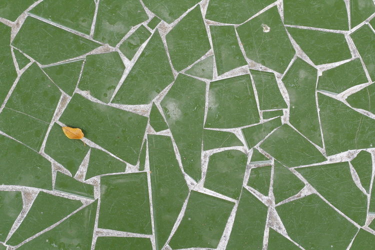 High angle view of green leaf on grass
