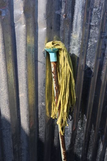 Portrait of mop standing by fence