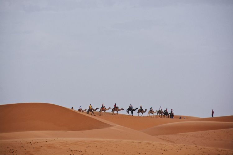 Group of people on sand dune
