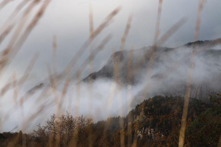 A shot of a local mountian surrounded by fog.