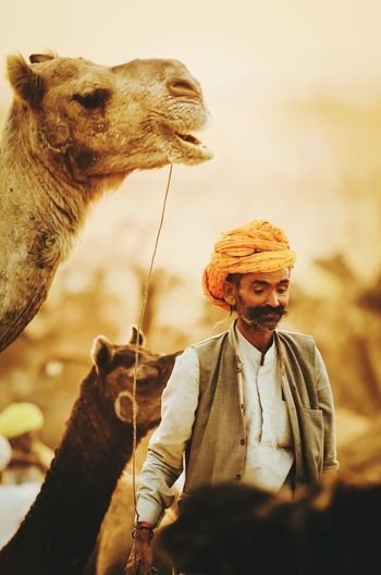 Man wearing turban while standing by camels