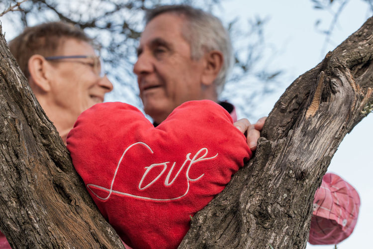 Couple kissing with heart shape on tree trunk