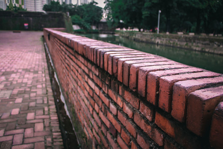 Close-up of wall in park