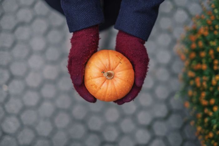 Cropped hands of person holding pumpkin on footpath
