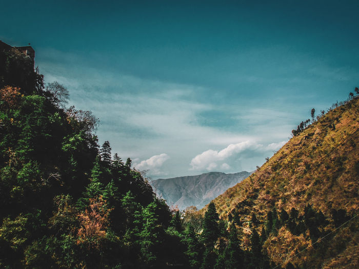 Scenic view of trees and mountains against sky