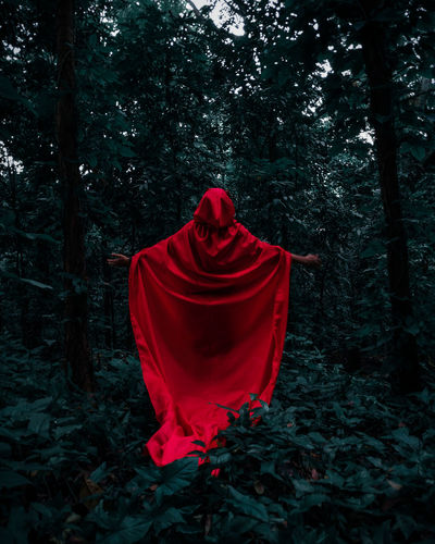 Rear view of person wearing red cape standing amidst plants and trees in forest