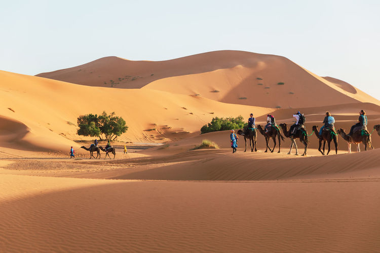 People walking at desert