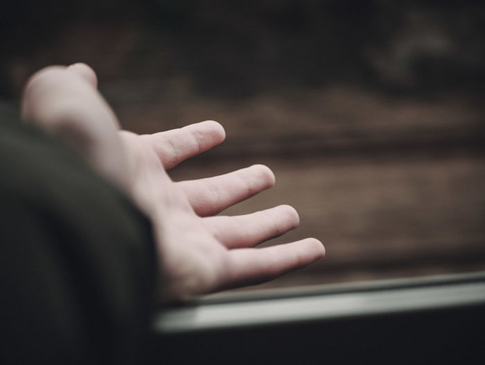 Close-up of woman hand