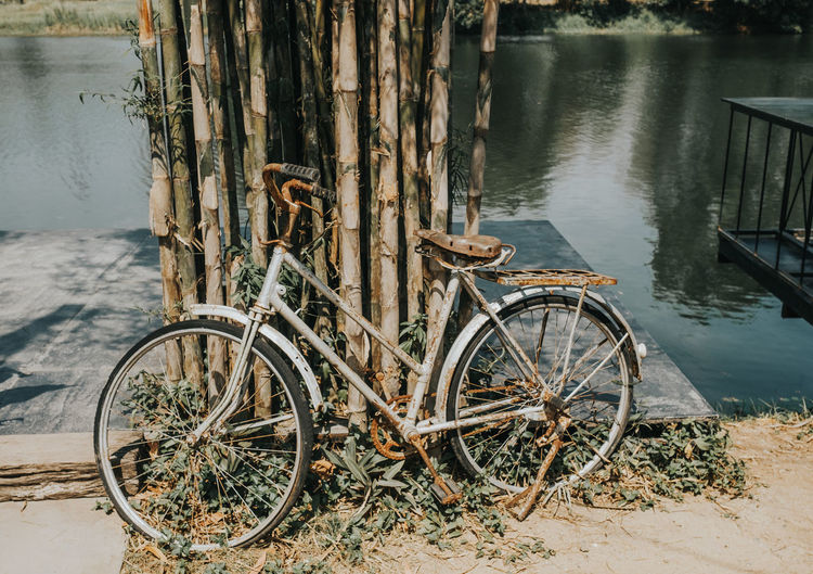 Bicycle parked on tree trunk by river