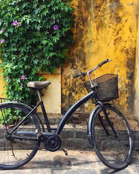 Bicycle parked against plants