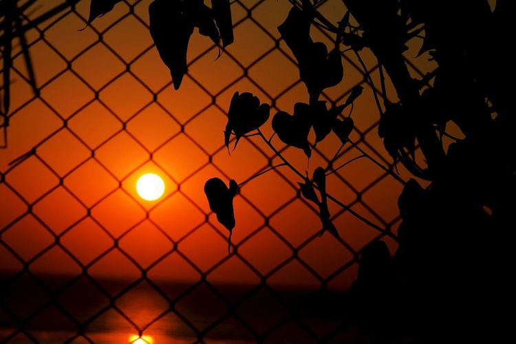 Close-up of silhouette chainlink fence against sunset sky