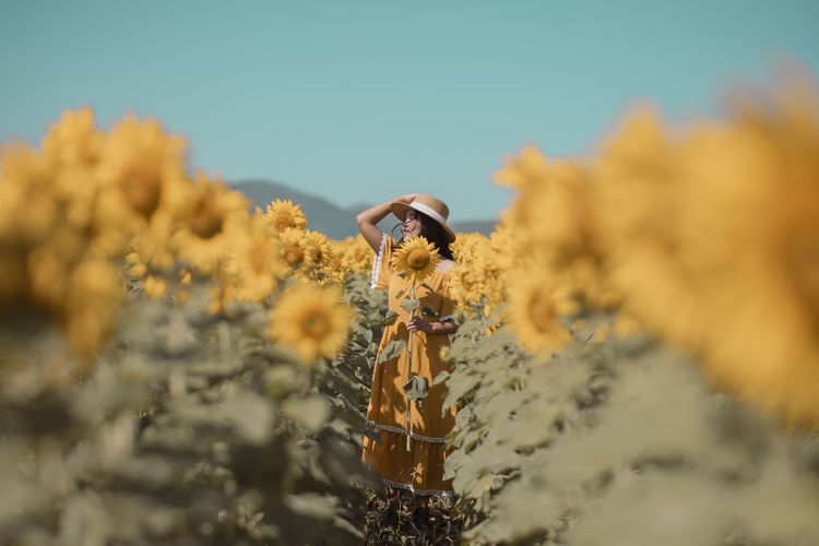 Young woman standing in sunflower field
