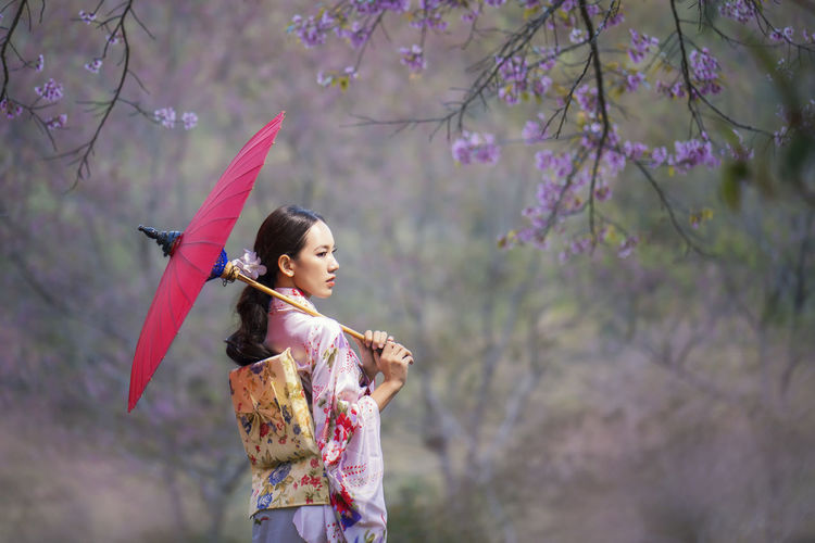 Beautiful female wearing traditional japanese kimono with cherry blossom in spring, japan.